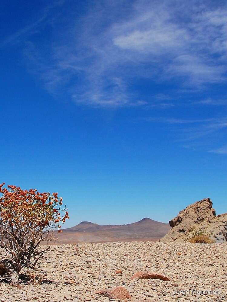 Nevada Desert by JaredManninen