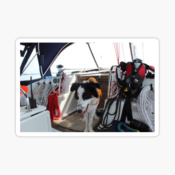 Skipper Surveying the Cockpit Sticker