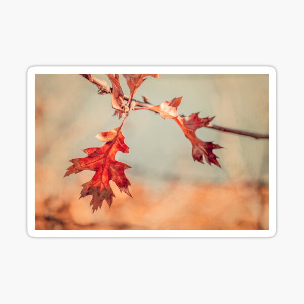 Item preview, Cape Cod Oak Leaves in Autumn designed and sold by Brooke T Ryan Photographic Art.