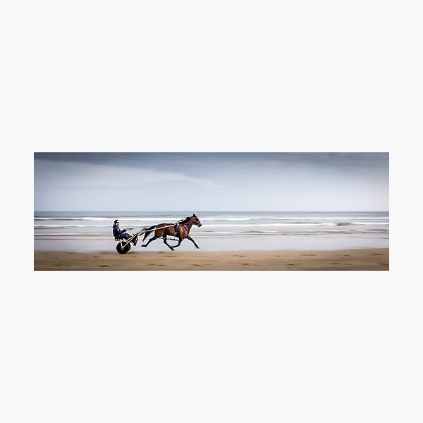 Pony and Trap Photographic Print