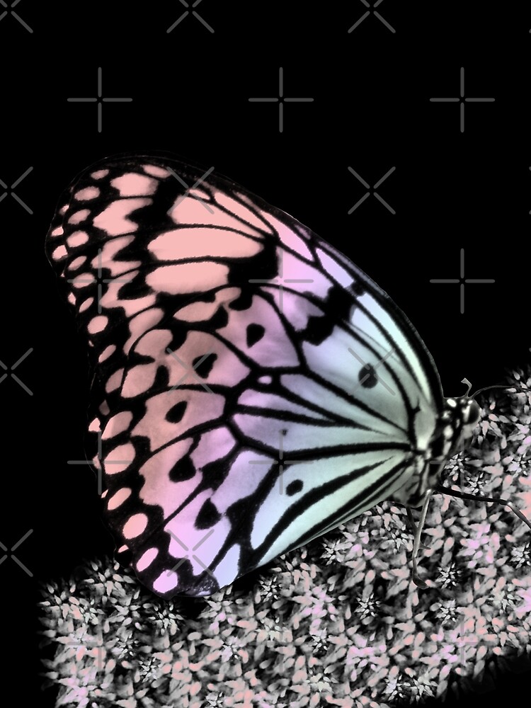 bunter Schmetterling, Insekt, Natur von rhnaturestyles
