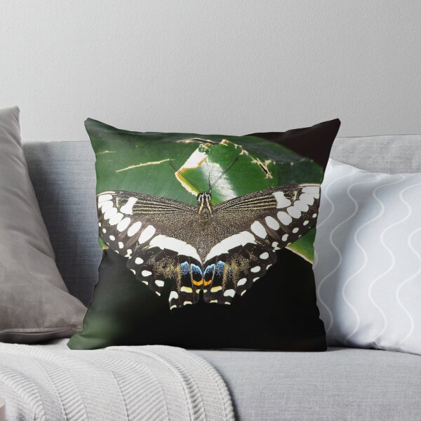 Item preview, Butterfly designed and sold by Katagram.