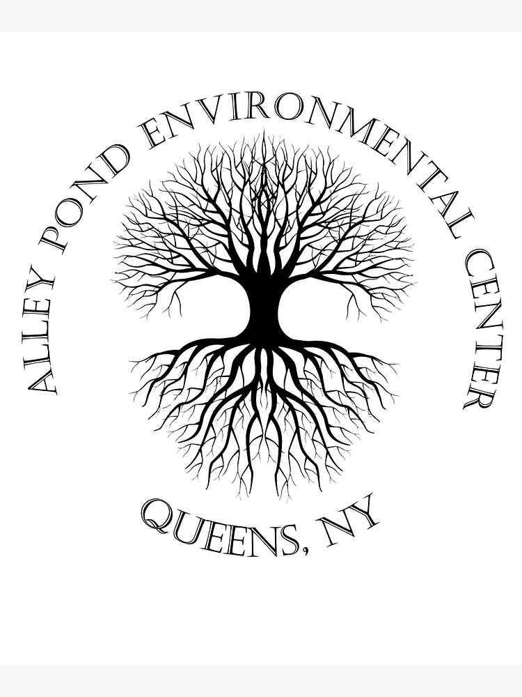 APEC Branches & Roots by APECofQueens