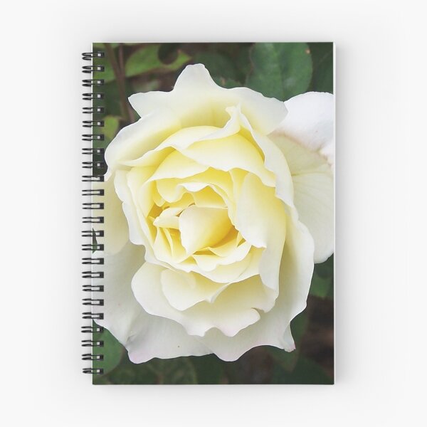 Item preview, Simplemente porque designed and sold by Katagram.
