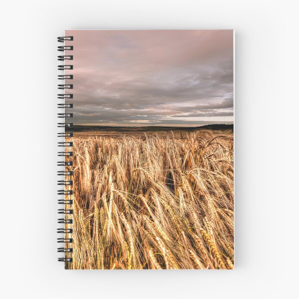 Item preview, Fields Of Gold designed and sold by Steve H Clark.