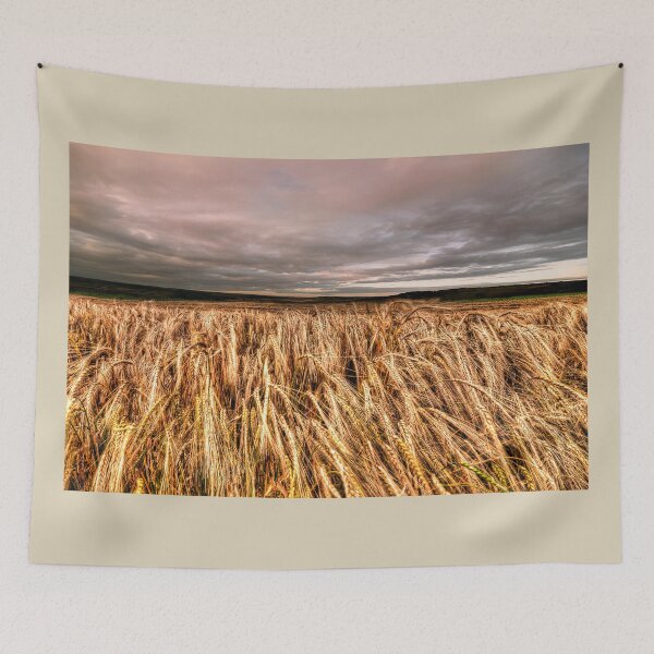 Item preview, Fields Of Gold designed and sold by Steve H Clark.