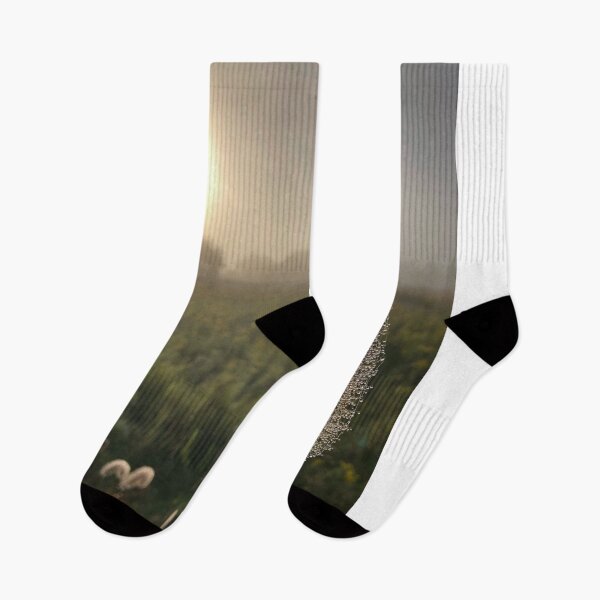 Item preview, Misty Morning  designed and sold by Zurickdesigns.