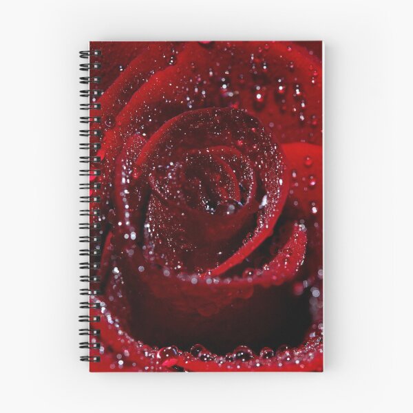 Item preview, Rosa roja en la lluvia designed and sold by SJAPhoto.