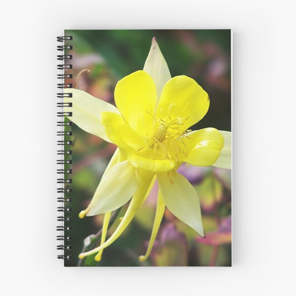 Item preview, Yellow Columbine designed and sold by Katagram.