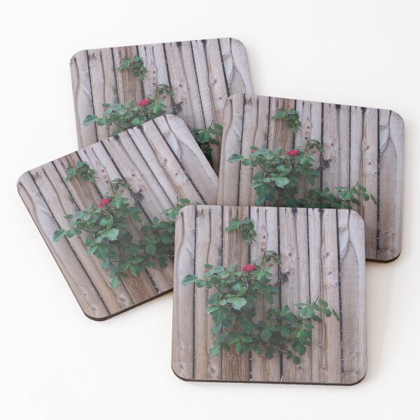 Item preview, Fencing roses designed and sold by Katagram.