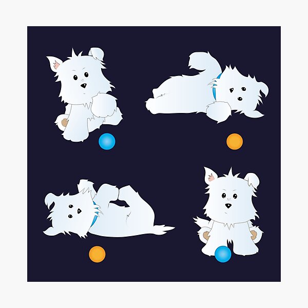 West Highland White Terrier Portrait Westie Art Black And White Drawing Photographic Print By Lolaandthestars Redbubble