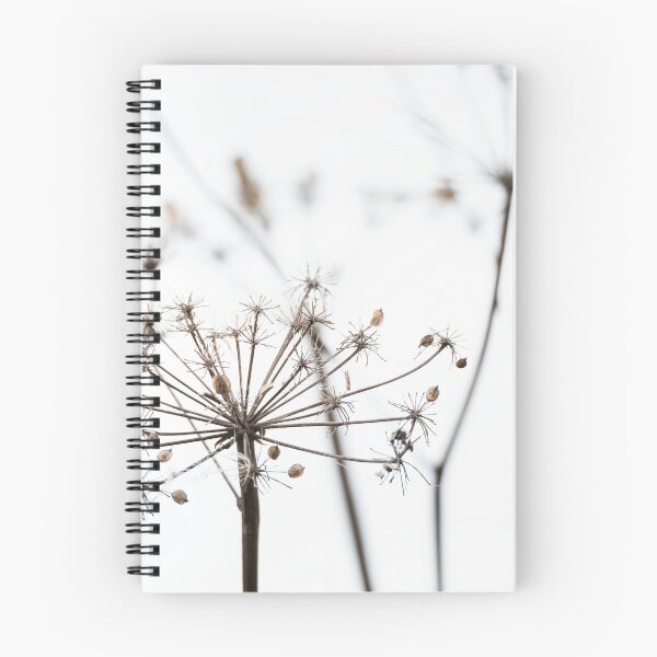 Item preview, Cow Parsley Heads designed and sold by Richard Nixon.