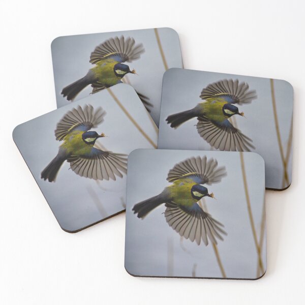 Item preview, Great Tit with spider in beak designed and sold by Violaman.
