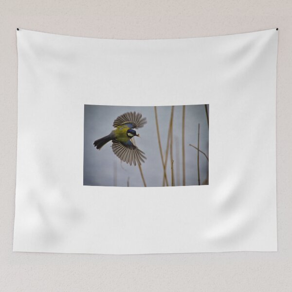 Item preview, Great Tit with spider in beak designed and sold by Violaman.
