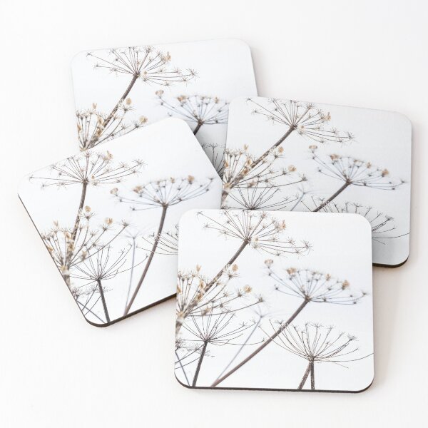 Item preview, Dried Cow Parsley Seed Heads designed and sold by Richard Nixon.