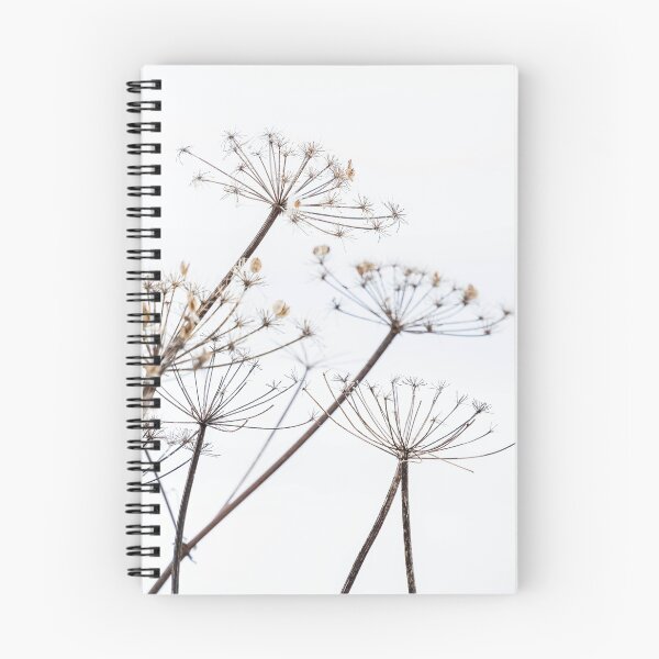 Item preview, Dried Cow Parsley Seed Heads designed and sold by Richard Nixon.