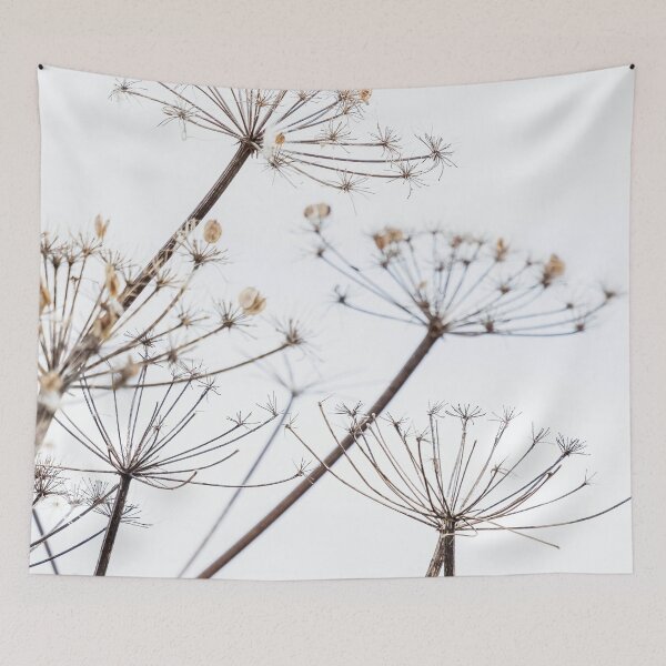 Item preview, Dried Cow Parsley Seed Heads designed and sold by Richard Nixon.