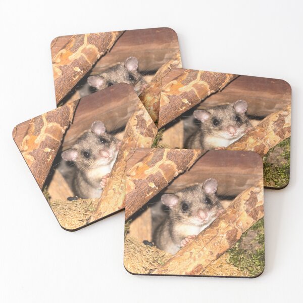Item preview, dormouse designed and sold by Katja LebenFreude.