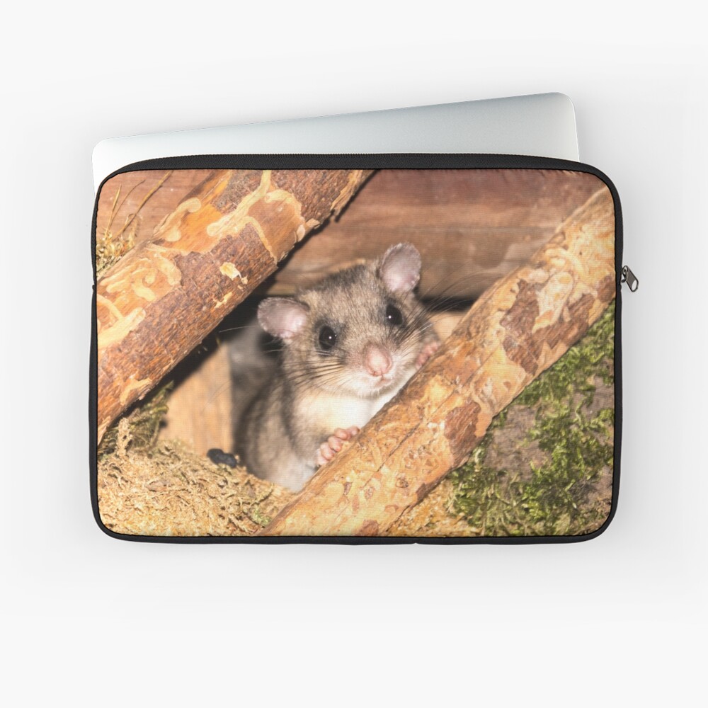 Artikel-Vorschau von Laptoptasche, designt und verkauft von Igelchen.