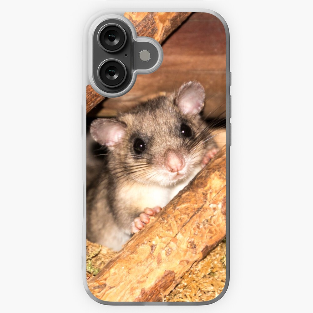 Artikel-Vorschau von iPhone Flexible Hülle, designt und verkauft von Igelchen.