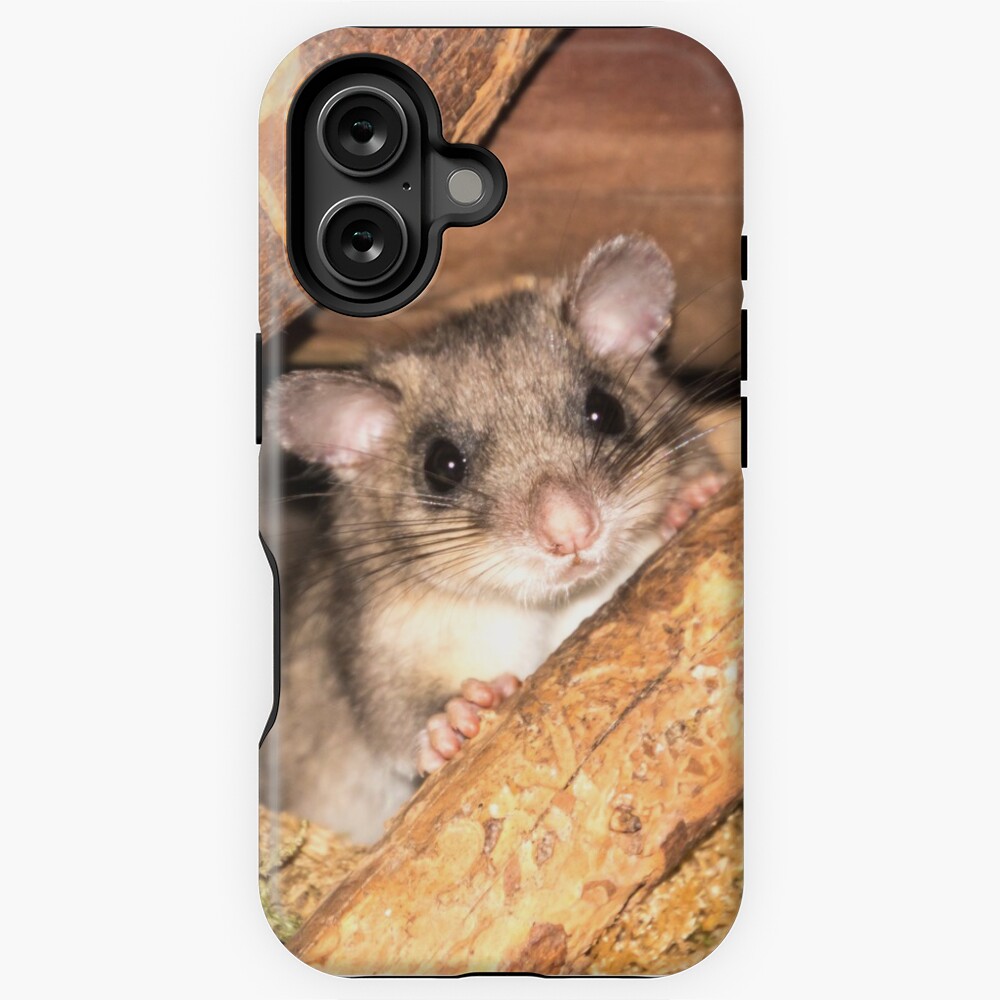 Artikel-Vorschau von iPhone Robuste Hülle, designt und verkauft von Igelchen.
