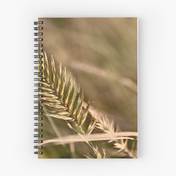 Item preview, Autumn Grasses designed and sold by Linda Bianic.