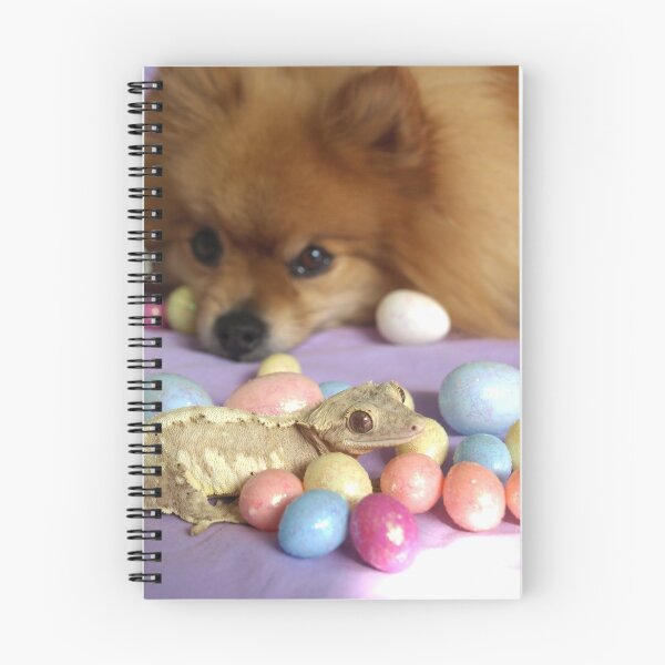 Item preview, Pomeranian and Cream Crested Gecko Surrounded by Easter Eggs designed and sold by Duelism.
