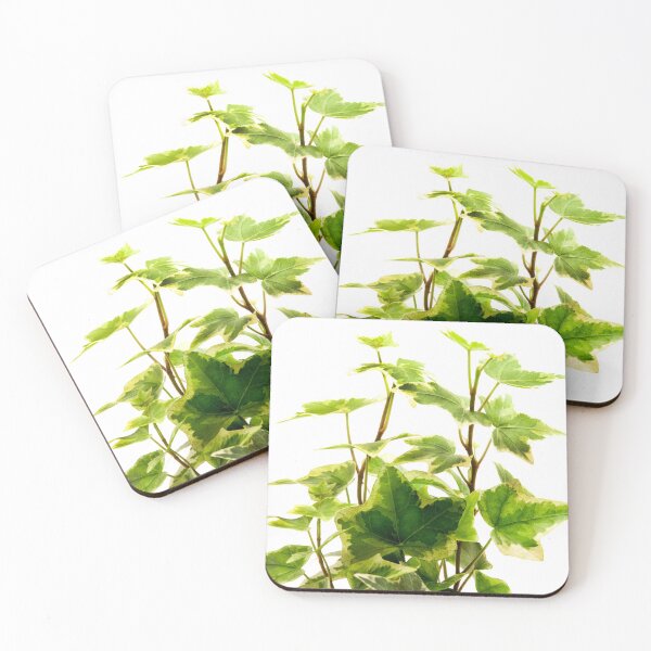 Item preview, Algerian Ivy designed and sold by troianifabrizio.