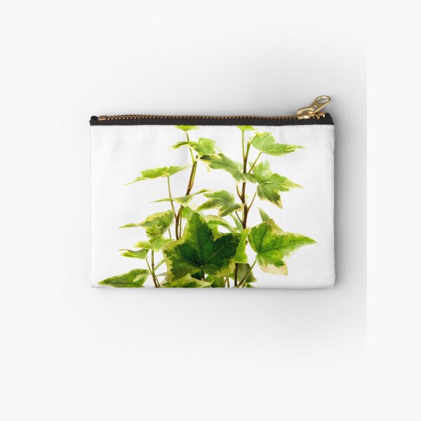 Item preview, Algerian Ivy designed and sold by troianifabrizio.