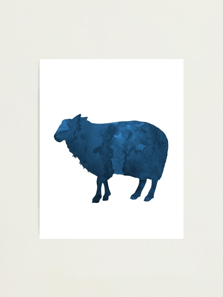 Dark Blue Ewe