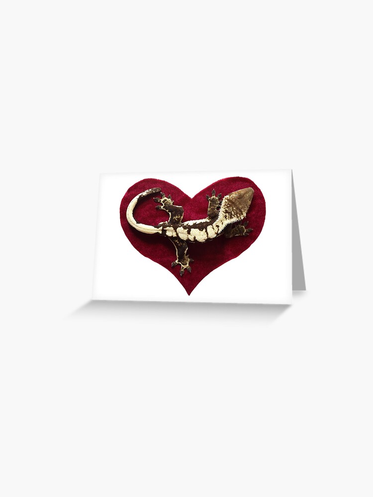 Total Eclipse of The Heart - Valentine's Day Crested Gecko Velvet Heart  Photo Black and White Lizard Reptile | Greeting Card