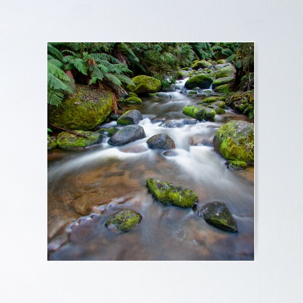 Item preview, Toorongo River. Noojee. Victoria. designed and sold by ImagesbyDi.