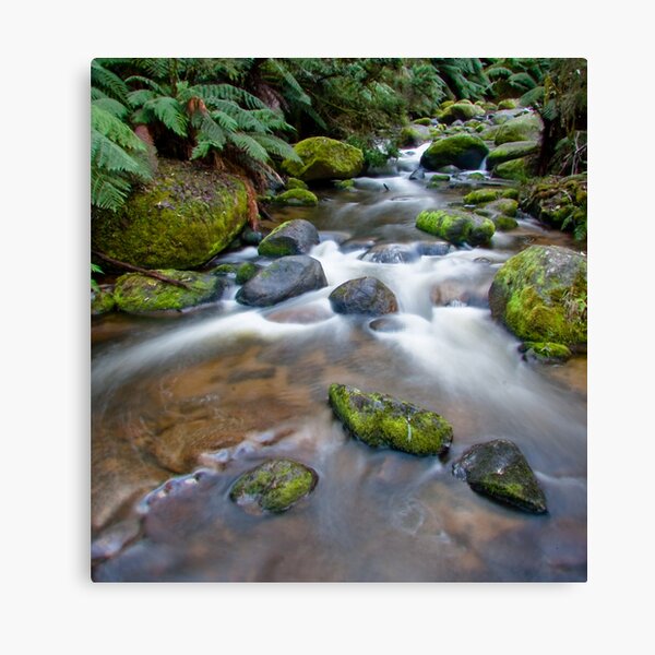 Item preview, Toorongo River. Noojee. Victoria. designed and sold by ImagesbyDi.