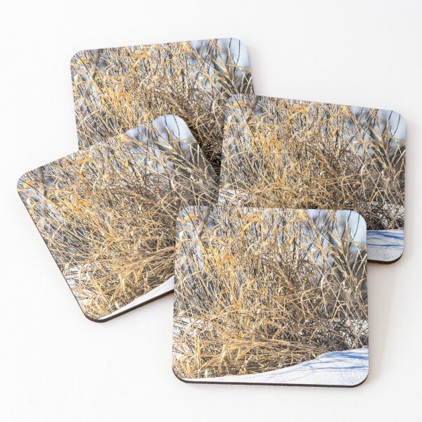 Item preview, Scenery on the trail designed and sold by CanadianWild418.