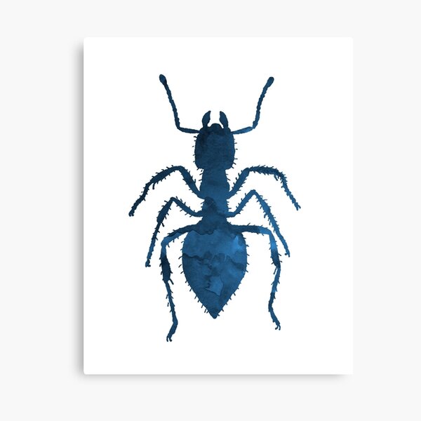Aperçu de l'œuvre Fourmi bleu marine créée et vendue par TheJollyMarten.