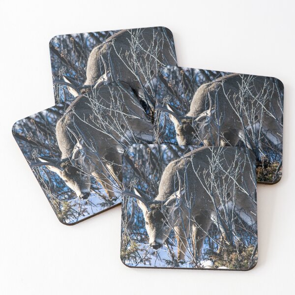 Item preview, Deer in the bush designed and sold by CanadianWild418.