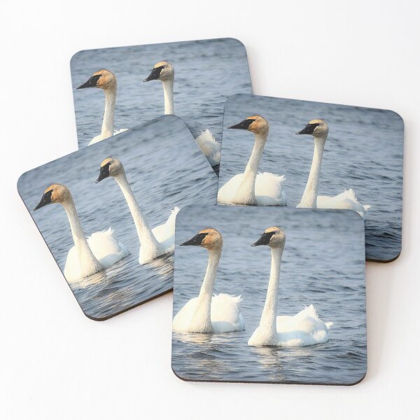 Item preview, Trumpeter Swans designed and sold by NicoleFrederick.