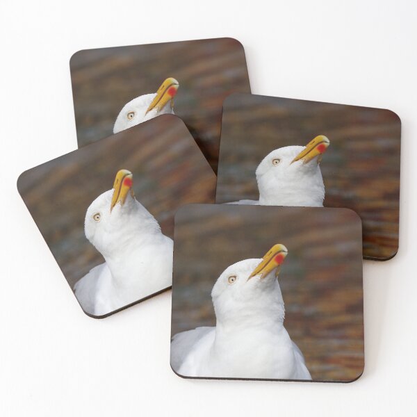 Item preview, Herring gull designed and sold by GreyFeatherPhot.