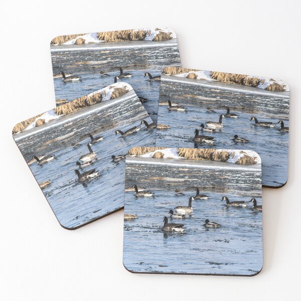 Item preview, Geese and mallards designed and sold by CanadianWild418.