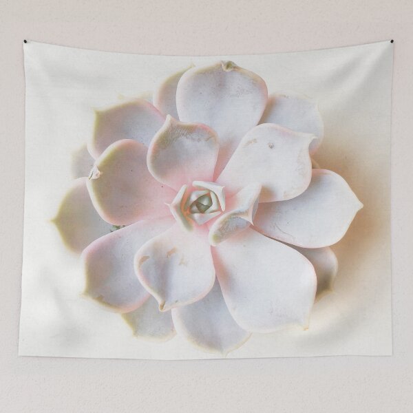 Item preview, Pink Succulent II designed and sold by Cassia Beck.