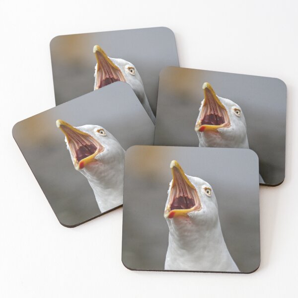 Item preview, The seagull's cry designed and sold by GreyFeatherPhot.