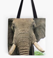 "Old gentleman" - elephant bull - Kruger Nat. Park Tote Bag