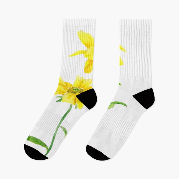 Item preview, 2 yellow Jerusalem daises watercolor designed and sold by ColorandColor.