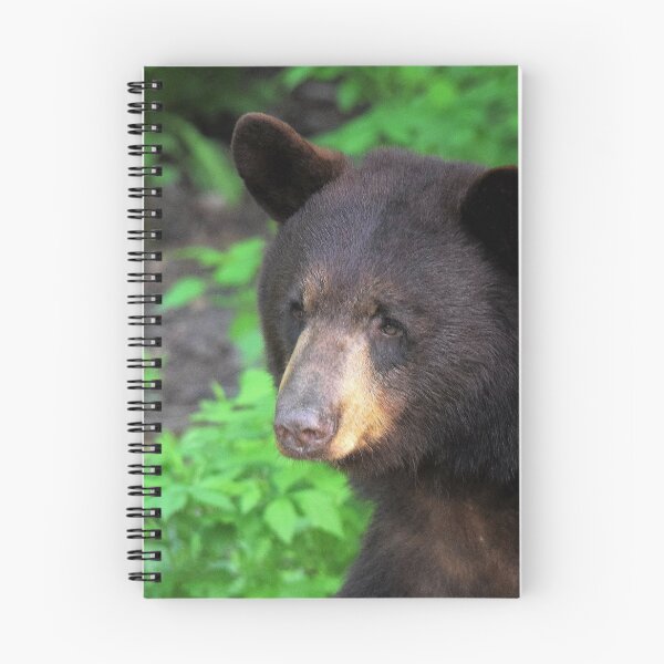 Item preview, Relaxed Bear designed and sold by NicoleFrederick.