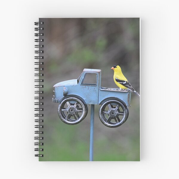 Item preview, Finch On Feeder designed and sold by NicoleFrederick.