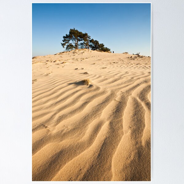 Item preview, Sahara of Europe designed and sold by Joop Snijder.
