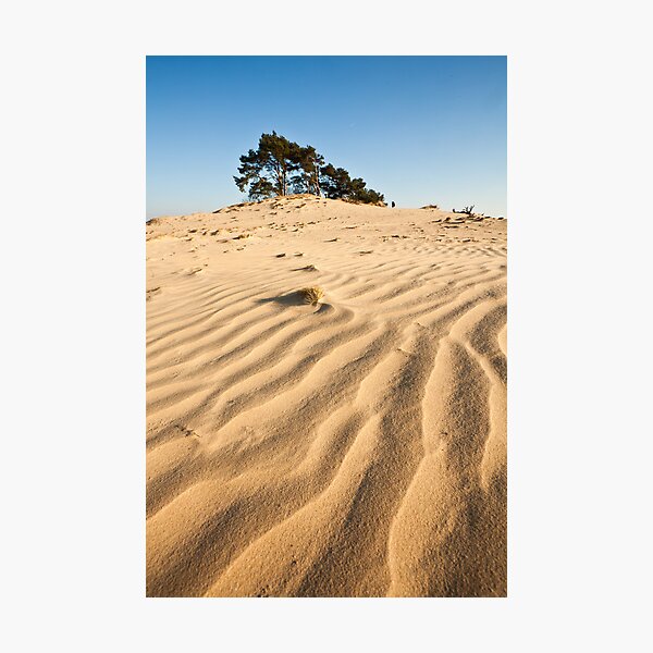 Item preview, Sahara of Europe designed and sold by Joop Snijder.
