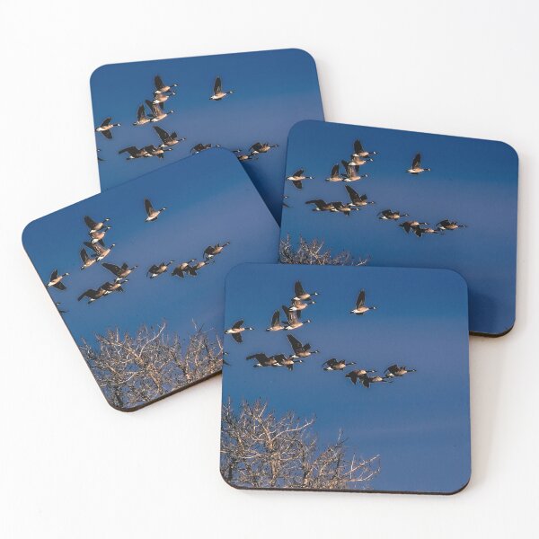 Item preview, Geese in flight designed and sold by CanadianWild418.