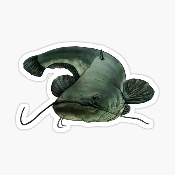 Catfish 5 Sticker by Inkfish Art