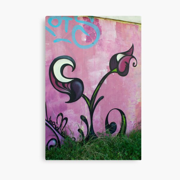 Grafiti Canvas Print